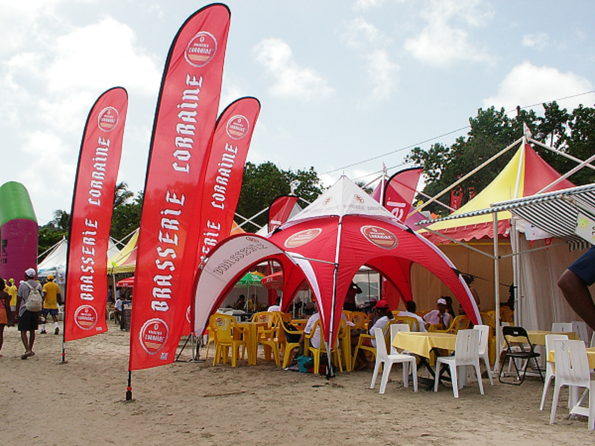 BEACH FLAGS – Unusual Shape Impresses